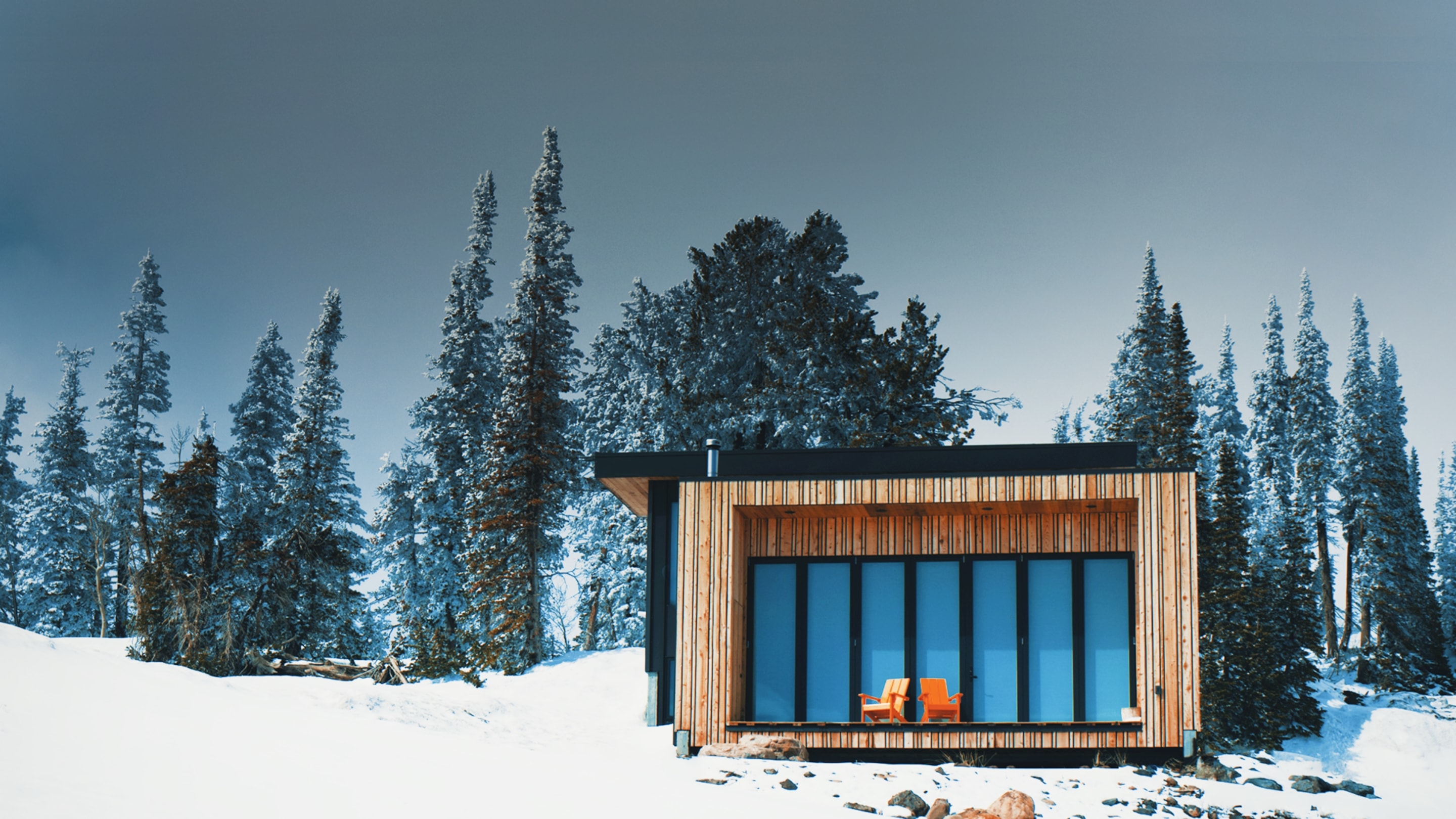 Photo - L’Hymne des Trembles